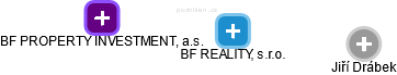 BF REALITY, s.r.o. - náhled vizuálního zobrazení vztahů obchodního rejstříku