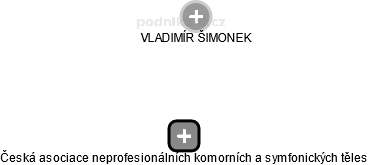 Česká asociace neprofesionálních komorních a symfonických těles - náhled vizuálního zobrazení vztahů obchodního rejstříku