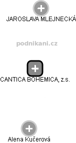 CANTICA BOHEMICA, z.s. - náhled vizuálního zobrazení vztahů obchodního rejstříku