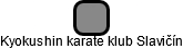 Kyokushin karate klub Slavičín - náhled vizuálního zobrazení vztahů obchodního rejstříku