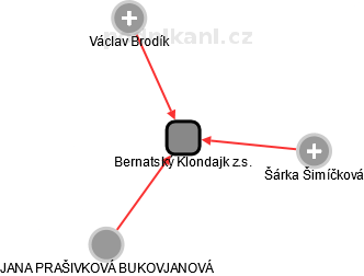 Bernatský Klondajk z.s. - náhled vizuálního zobrazení vztahů obchodního rejstříku