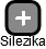 Silezika - náhled vizuálního zobrazení vztahů obchodního rejstříku
