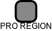 PRO REGION - náhled vizuálního zobrazení vztahů obchodního rejstříku