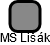 MS Lišák - náhled vizuálního zobrazení vztahů obchodního rejstříku