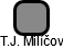T.J. Milíčov - náhled vizuálního zobrazení vztahů obchodního rejstříku