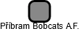 Příbram Bobcats A.F. - náhled vizuálního zobrazení vztahů obchodního rejstříku