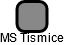 MS Tismice - náhled vizuálního zobrazení vztahů obchodního rejstříku