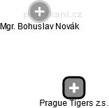 Prague Tigers z.s. - náhled vizuálního zobrazení vztahů obchodního rejstříku