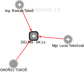 DELFÍN - SK z.s. - náhled vizuálního zobrazení vztahů obchodního rejstříku