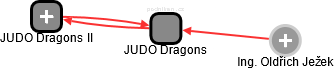 JUDO Dragons - náhled vizuálního zobrazení vztahů obchodního rejstříku