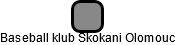 Baseball klub Skokani Olomouc - náhled vizuálního zobrazení vztahů obchodního rejstříku
