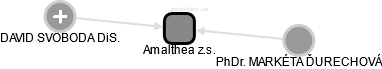 Amalthea z.s. - náhled vizuálního zobrazení vztahů obchodního rejstříku