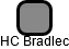 HC Bradlec - náhled vizuálního zobrazení vztahů obchodního rejstříku