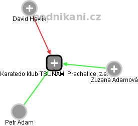 Karatedo klub TSUNAMI Prachatice, z.s. - náhled vizuálního zobrazení vztahů obchodního rejstříku