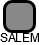 SALEM - náhled vizuálního zobrazení vztahů obchodního rejstříku
