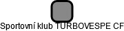 Sportovní klub TURBOVESPE CF - náhled vizuálního zobrazení vztahů obchodního rejstříku