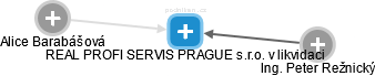 REAL PROFI SERVIS PRAGUE s.r.o. v likvidaci - náhled vizuálního zobrazení vztahů obchodního rejstříku