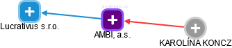 AMBI, a.s. - náhled vizuálního zobrazení vztahů obchodního rejstříku