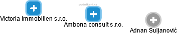 Ambona consult s.r.o. - náhled vizuálního zobrazení vztahů obchodního rejstříku