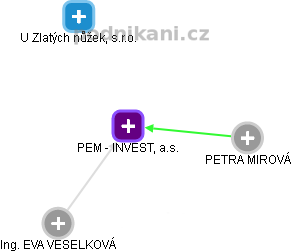 PEM - INVEST, a.s. - náhled vizuálního zobrazení vztahů obchodního rejstříku