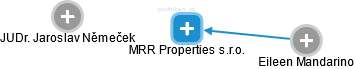 MRR Properties s.r.o. - náhled vizuálního zobrazení vztahů obchodního rejstříku