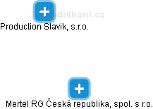 Mertel RG Česká republika, spol. s r.o. - náhled vizuálního zobrazení vztahů obchodního rejstříku