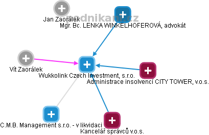 Wukkolink Czech Investment, s.r.o. - náhled vizuálního zobrazení vztahů obchodního rejstříku