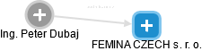 FEMINA CZECH s. r. o. - náhled vizuálního zobrazení vztahů obchodního rejstříku