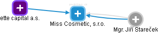 Miss Cosmetic, s.r.o. - náhled vizuálního zobrazení vztahů obchodního rejstříku