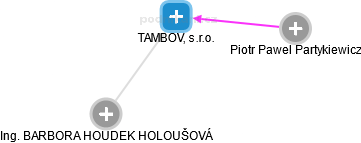 TAMBOV, s.r.o. - náhled vizuálního zobrazení vztahů obchodního rejstříku