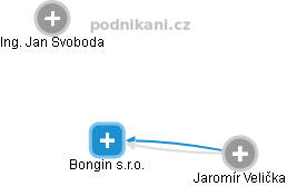 Bongin s.r.o. - náhled vizuálního zobrazení vztahů obchodního rejstříku