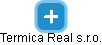 Termica Real s.r.o. - náhled vizuálního zobrazení vztahů obchodního rejstříku