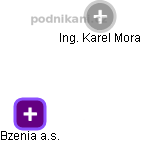 Bzenia a.s. - náhled vizuálního zobrazení vztahů obchodního rejstříku