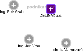 DELIMAX a.s. - náhled vizuálního zobrazení vztahů obchodního rejstříku