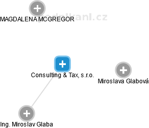 Consulting & Tax, s.r.o. - náhled vizuálního zobrazení vztahů obchodního rejstříku