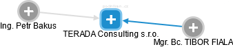 TERADA Consulting s.r.o. - náhled vizuálního zobrazení vztahů obchodního rejstříku