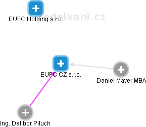 EUFC CZ s.r.o. - náhled vizuálního zobrazení vztahů obchodního rejstříku