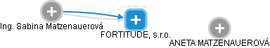 FORTITUDE, s.r.o. - náhled vizuálního zobrazení vztahů obchodního rejstříku