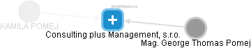 Consulting plus Management, s.r.o. - náhled vizuálního zobrazení vztahů obchodního rejstříku