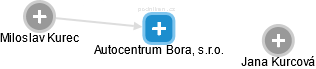Autocentrum Bora, s.r.o. - náhled vizuálního zobrazení vztahů obchodního rejstříku