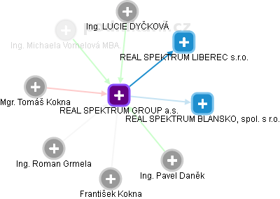 REAL SPEKTRUM GROUP a.s. - náhled vizuálního zobrazení vztahů obchodního rejstříku