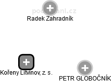 Kořeny Litvínov, z. s. - náhled vizuálního zobrazení vztahů obchodního rejstříku