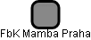 FbK Mamba Praha - náhled vizuálního zobrazení vztahů obchodního rejstříku