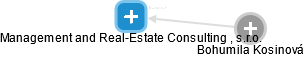 Management and Real-Estate Consulting, s.r.o. - náhled vizuálního zobrazení vztahů obchodního rejstříku
