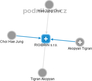 RIGIBRIN s.r.o. - náhled vizuálního zobrazení vztahů obchodního rejstříku