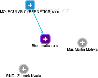 Bionanotics a.s. - náhled vizuálního zobrazení vztahů obchodního rejstříku