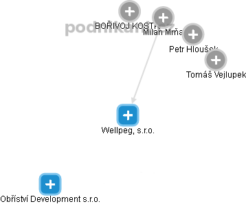 Wellpeg, s.r.o. - náhled vizuálního zobrazení vztahů obchodního rejstříku