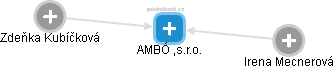 AMBÓ ,s.r.o. - náhled vizuálního zobrazení vztahů obchodního rejstříku