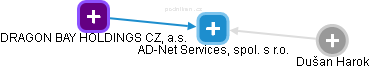 AD-Net Services, spol. s r.o. - náhled vizuálního zobrazení vztahů obchodního rejstříku