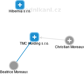 TMC Holding s.r.o. - náhled vizuálního zobrazení vztahů obchodního rejstříku